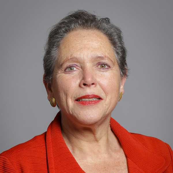 Baroness Susan Kramer