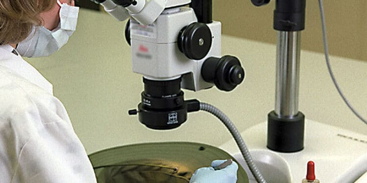Whistleblower Sparks $114.5M Recovery in Genetic Testing Lab Scheme
