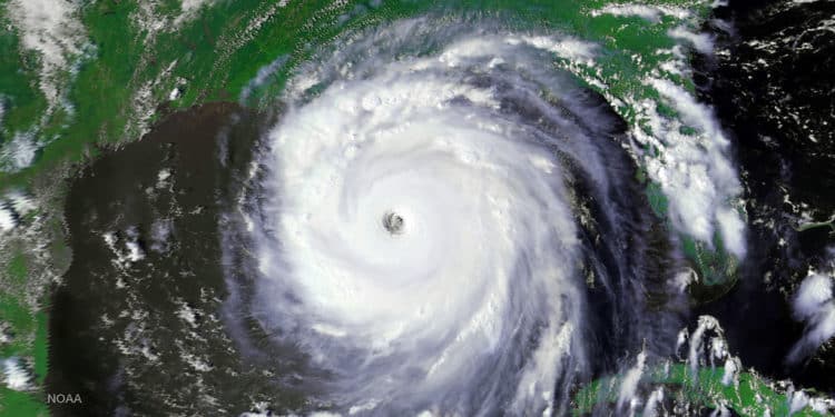 FCA Whistleblower Awarded $2.3 Million for Revealing Scheme to Defraud FEMA of Hurricane Katrina Relief Funds