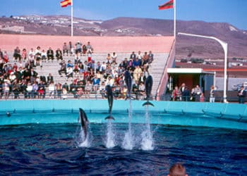 “The Walrus and the Whistleblower” documentary wins in Toronto film festival