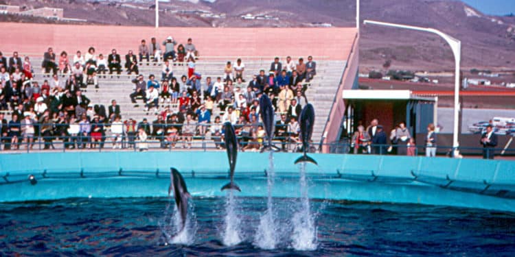 “The Walrus and the Whistleblower” documentary wins in Toronto film festival