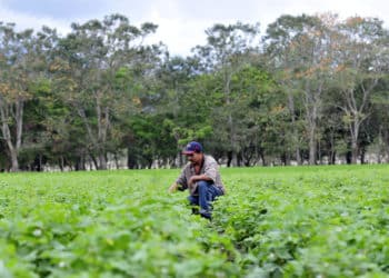 Whistleblower Film Festival Review: In Nicaragua, They Name me Chepito