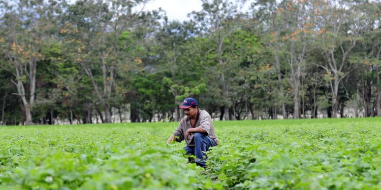 Whistleblower Film Festival Review: In Nicaragua, They Name me Chepito
