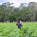 Whistleblower Film Festival Review: In Nicaragua, They Name me Chepito