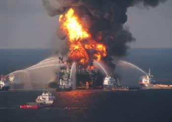 Opinion: Enlisting Whistleblowers to Combat Crime in the Fossil Fuel and Industrial Logging Industries