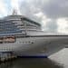 From cruise ships to tankers, big boats dump waste into the ocean. Whistleblowers can stop them.