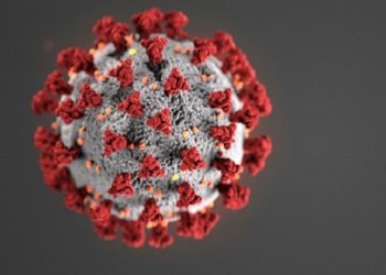 Public Health Service Employees Who Report Coronavirus Health And Safety Concerns Need Effective Whistleblower Protections!