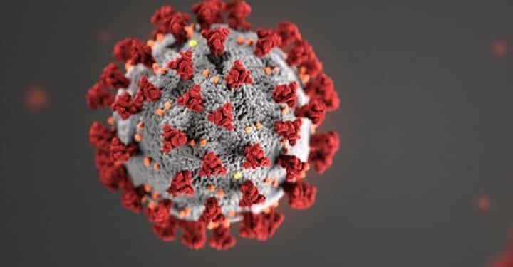 Public Health Service Employees Who Report Coronavirus Health And Safety Concerns Need Effective Whistleblower Protections!