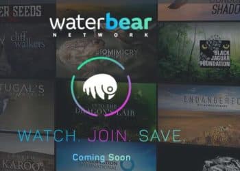 Watch, Join, and Save: WaterBear Network aims to inspire wildlife whistleblowers