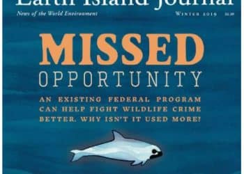 Talking about wildlife whistleblowers and how they could save the world’s cutest porpoise