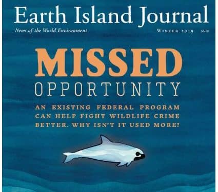 Talking about wildlife whistleblowers and how they could save the world’s cutest porpoise