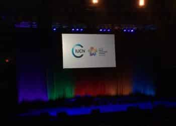 National Whistleblower Center Selected as Wildlife Crime Tech Challenge Grand Prize Winner