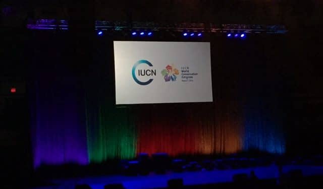 National Whistleblower Center Selected as Wildlife Crime Tech Challenge Grand Prize Winner