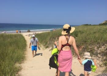 Whistleblower tools can be deployed to protect the beauty and wildlife of vacationland.