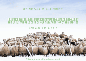 Wildlife Whistleblower Laws to be Discussed at Rethinking Animals Summit