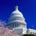 Senate Whistleblower Protection Caucus Adds Members