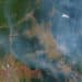 Can whistleblowers save the Amazon rainforest?