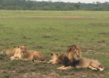 NWC Executive Director Leads Whistleblower Workshop In Kenya