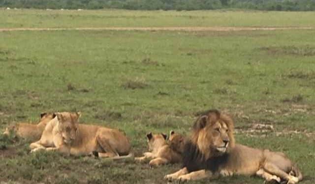 NWC Executive Director Leads Whistleblower Workshop In Kenya