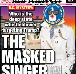 Opinion: Giant panda costumes aside, protecting intelligence community whistleblowers is serious business