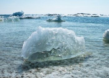 NGO Calls on Whistleblowers to Address Coronavirus and Climate Change