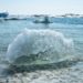 NGO Calls on Whistleblowers to Address Coronavirus and Climate Change