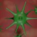 Chinese Officials Admit Poor Treatment of Coronavirus Whistleblower