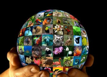 National Whistleblower Center Joins World Wildlife Day Movement