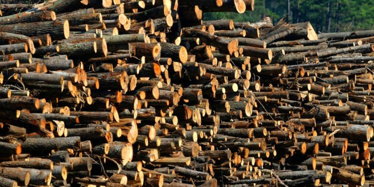 Wildlife Whistleblowers