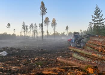 International Anti-Corruption and Whistleblower Protection Webinar Announced