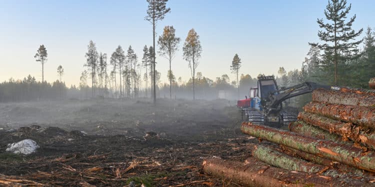 International Anti-Corruption and Whistleblower Protection Webinar Announced