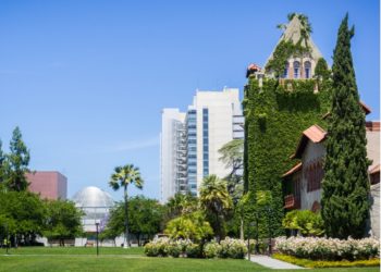 san jose state university, whistleblower retaliation