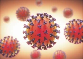 coronavirus, coronavirus whistleblowers