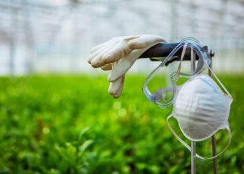 Migrant Farm Worker Wins Increased COVID-19 Protections for Workplace Following Lawsuit