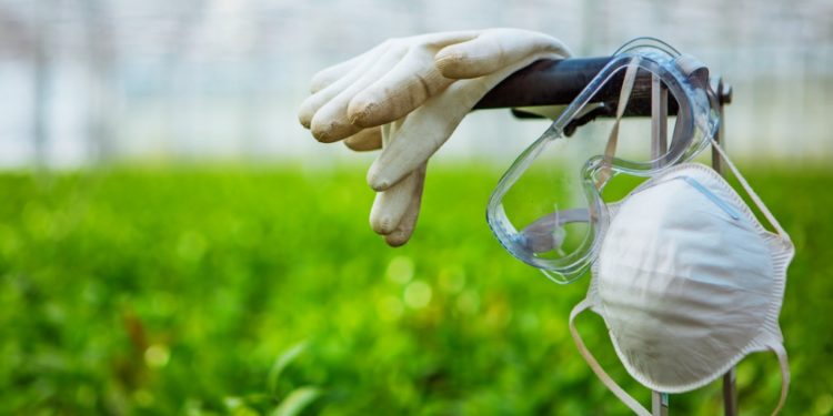 Migrant Farm Worker Wins Increased COVID-19 Protections for Workplace Following Lawsuit