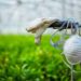 Migrant Farm Worker Wins Increased COVID-19 Protections for Workplace Following Lawsuit