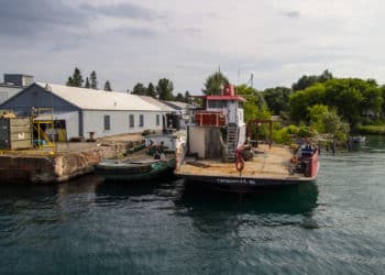 Fishing Whistleblower