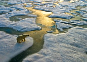 Endangered Species Day