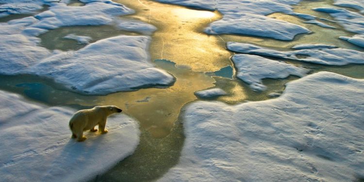 Endangered Species Day