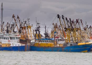 Fishing Whistleblowers