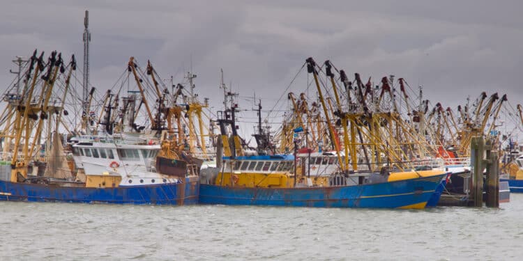 Fishing Whistleblowers