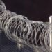 Close-up photo of a fence with razor wire on top of it