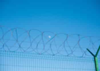 Immigrant Whistleblowers