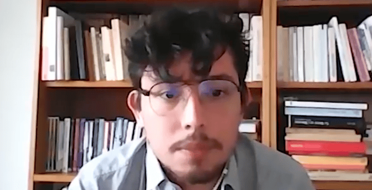 Screenshot from Zoom interview with Thomas le Bonniec