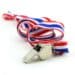 Photo of a silver whistle with a red, white, and blue lanyard all against a white background