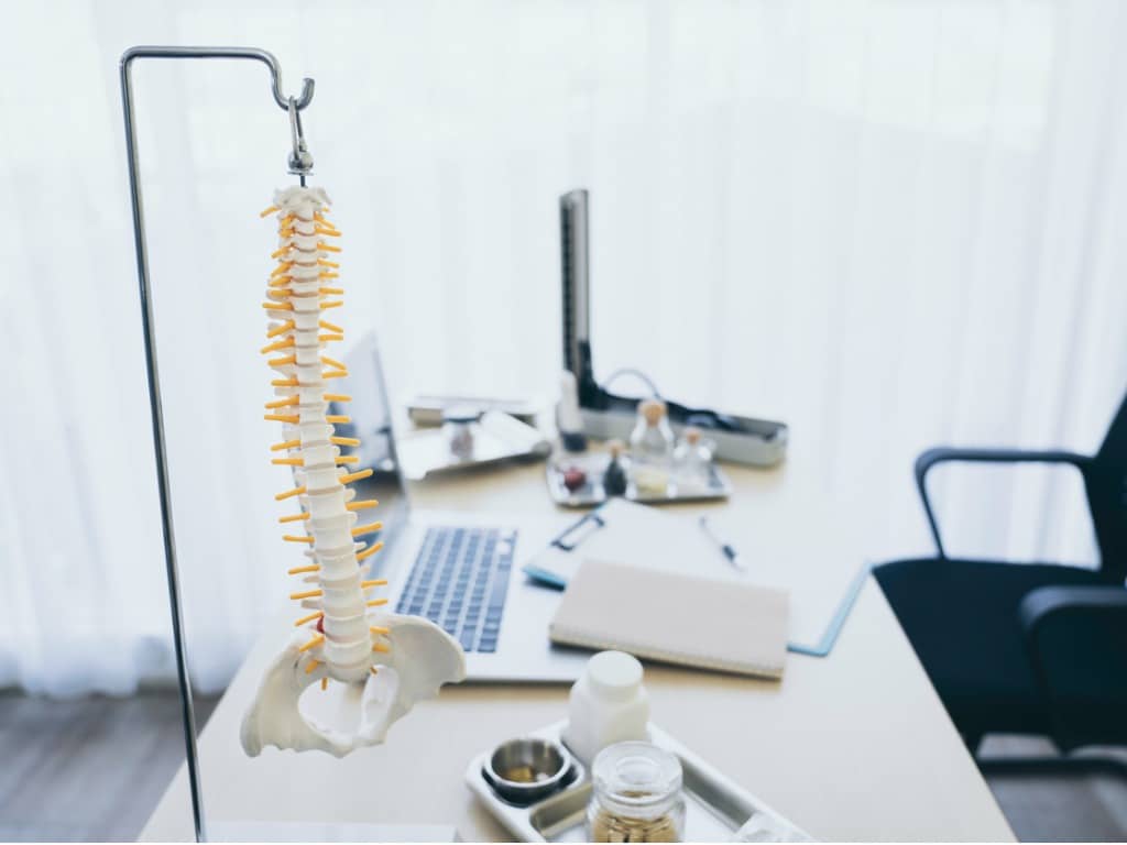 Photo of a doctor's desk with a model of a spine