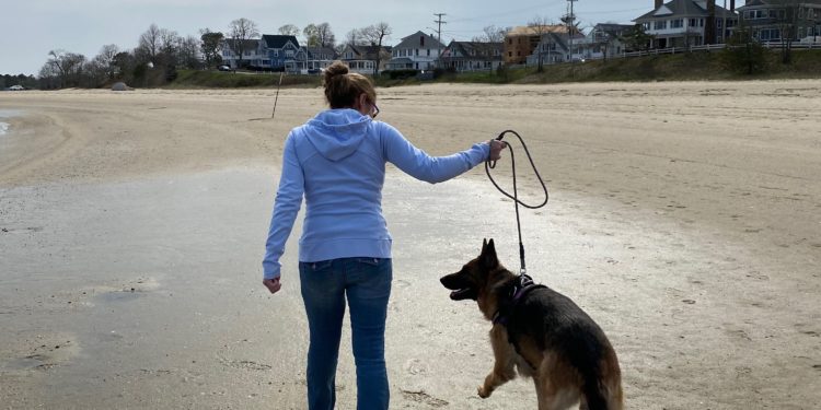 Theresa Foley walking a dog on a beach