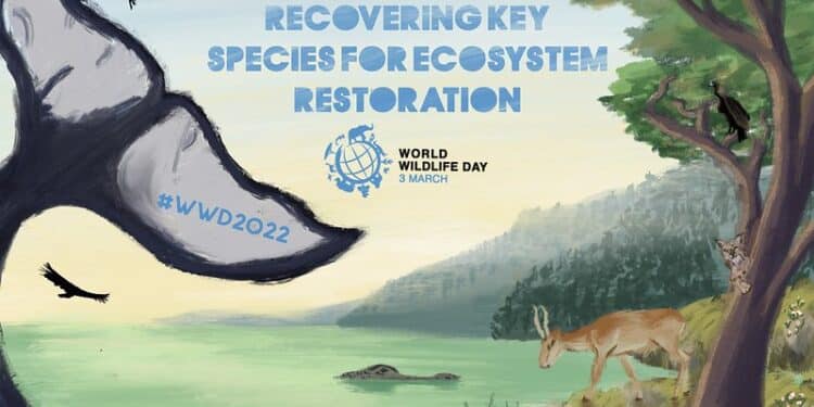 World Wildlife Day 2022 Highlights Endangered Species - Whistleblower