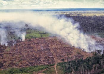 Advocates Discuss Key Role of Whistleblowers in Combatting Environmental Crimes
