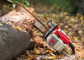 Chainsaw in the middle of a felled tree
